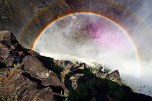 一对,彩虹,维多利亚瀑布,赞比亚,非洲