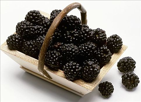 黑莓,小,木质,篮子