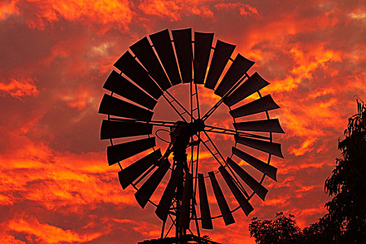 风车,日落,北领地州,澳大利亚