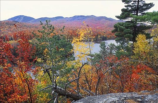 秋天,色彩,叶子,湖,深秋,国家公园,东方,加拿大