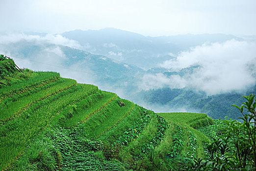 大山里的田园春色