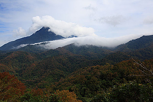 五指山风光