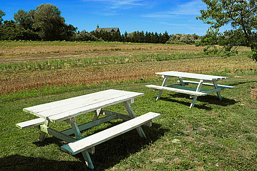 野餐桌,地点,长岛