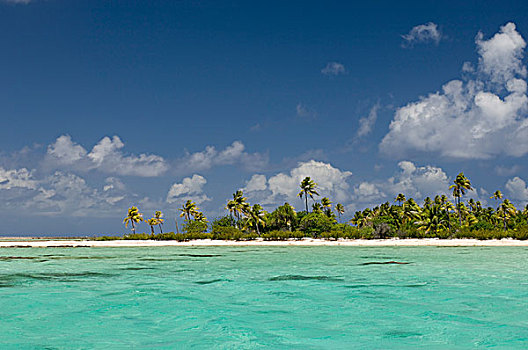 珊瑚,环礁,土阿莫土群岛,法属玻利尼西亚,太平洋