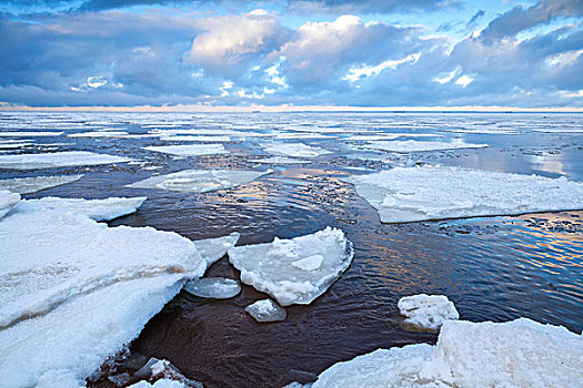 冬天,海边风景,大,漂浮,冰,碎片,寒冷,水,海湾,芬兰,俄罗斯