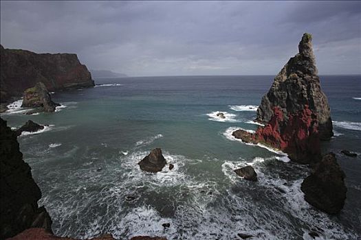 悬崖,海洋,堆积,自然保护区,马德拉岛