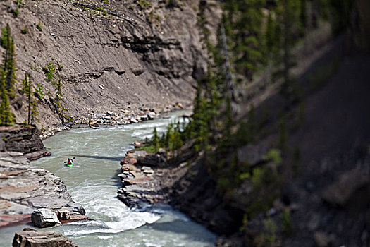 男性,白浪,皮划艇手,短桨,大,河,艾伯塔省,加拿大