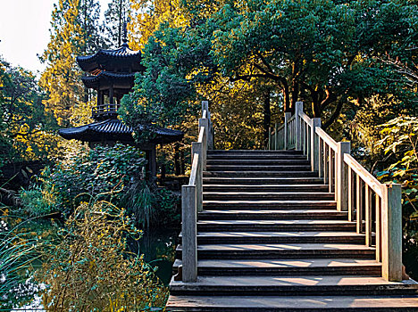 曲院风荷秋景