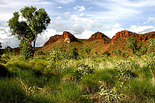 岩石景观,霍尔小溪,东方,金伯利,西北地区,澳大利亚