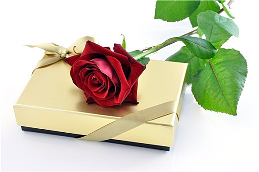 红玫瑰,金色,礼盒