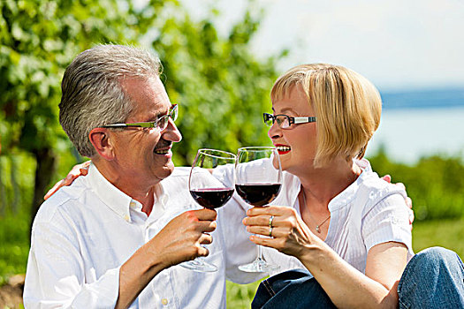 高兴,夫妻,老人,人,退休,喝,葡萄酒,湖,夏天