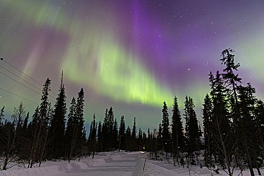 北极光,冬天,国家公园,拉普兰,芬兰