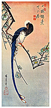 尾巴,蓝鸟,枝头,李树,19世纪