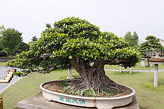 安徽黄山市鲍家花园