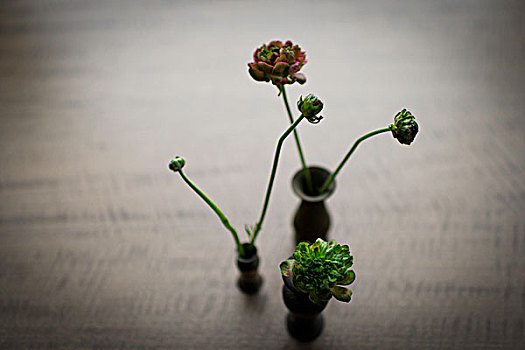 静物,三个,小,花瓶,插花