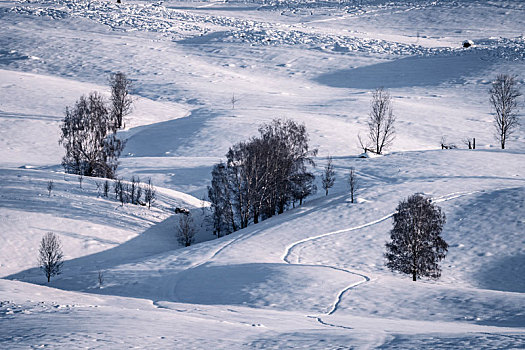 冬日雪景,中国,阿尔泰山区