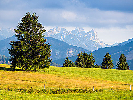 风景,山谷,顶端,山,红色,巴伐利亚,德国