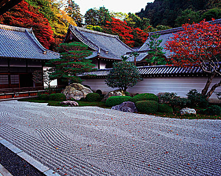 日本,京都,干燥,禅园,约会