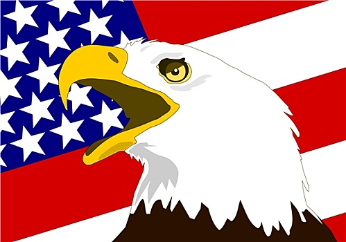 白头鹰,旗帜,美国