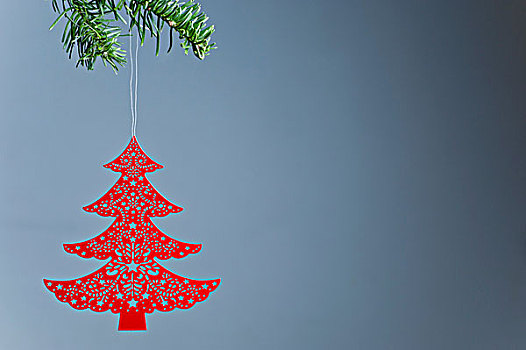 圣诞树饰,悬挂,枝头,中心
