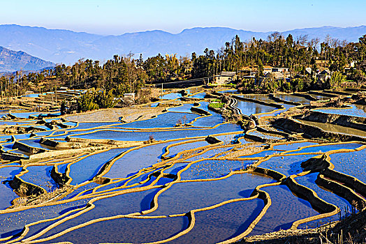 阳光,土地