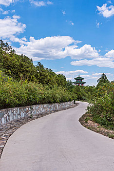 北京西山国家森林公园的亭子树林道路