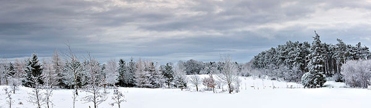诺森伯兰郡,英格兰,冬季风景