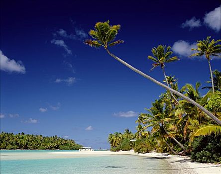 环礁,棕榈树,热带沙滩,海洋,沙子,艾图塔基,南太平洋,玻利尼西亚,库克群岛