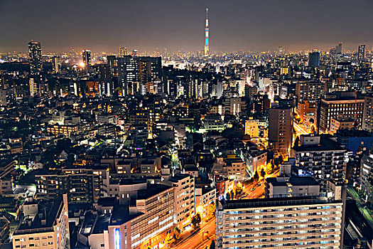 东京,城市,天际线,屋顶,夜拍,日本