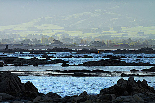岩石,海岸线,南岛,新西兰