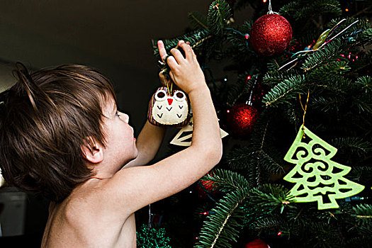 孩子,男孩,装饰,圣诞树