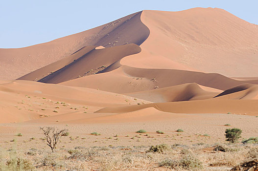一个,沙丘,索苏维来地区,风景,纳米布沙漠,纳米比沙漠,公园,纳米比亚,非洲