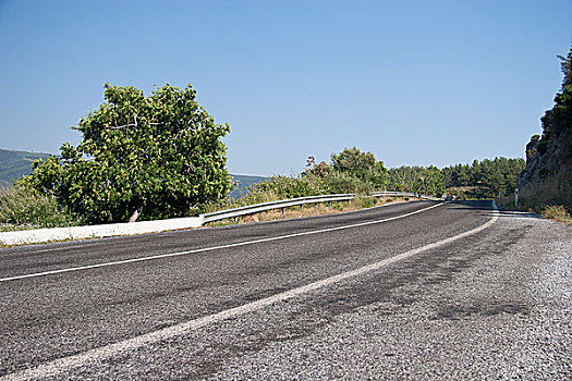 道路,夏天