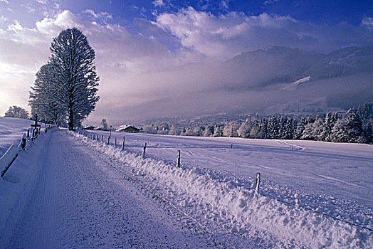 奥地利,基兹比厄尔,早晨,雪,途中