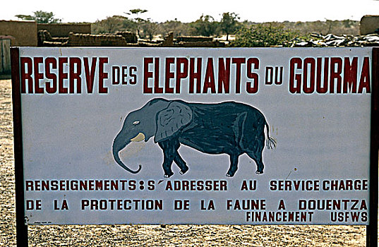 西非,马里,区域,大象,自然保护区