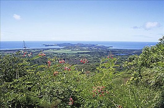 沿岸,场景