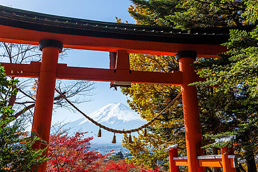 富士山,日本寺庙,秋天