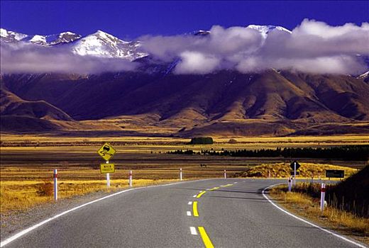 公路,山巒,新西蘭