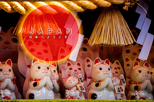 日本招财猫制成贺卡以红太阳作为符号,字幕,招财猫,金运来福