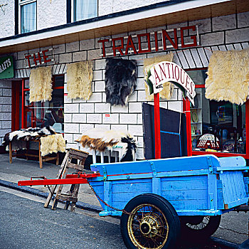 蓝色,手推车,古董店,梅奥县,爱尔兰