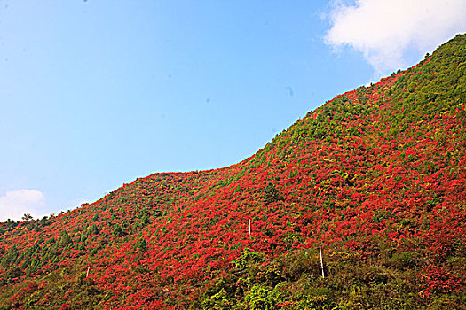 陕西凤县秦岭