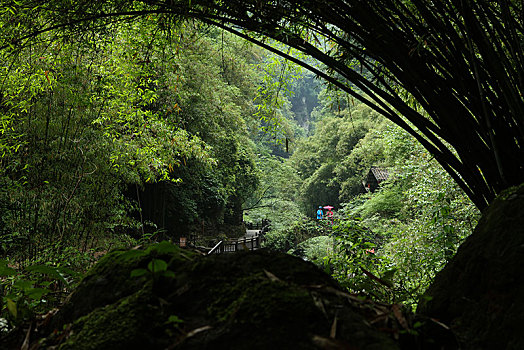 宜昌,三峡人家,长江,运输,航道,民俗,表演,风景,景点,旅游,高山,瀑布,河流,神秘,树木,植被,峡谷,壮观