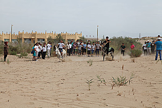 维吾尔族传统体育比赛,赛毛驴