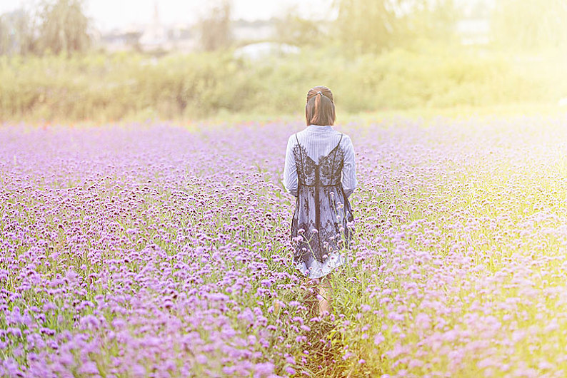 薰衣草中的美女背影