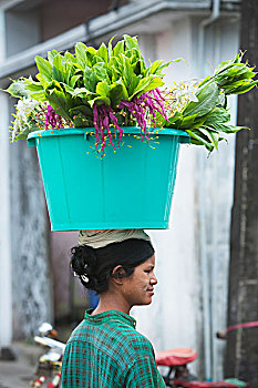 女人,销售,花,仰光,分开,缅甸