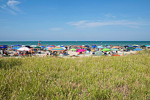 海洋,沙滩,遮阳伞,草,正面,省,马希地区,意大利,欧洲