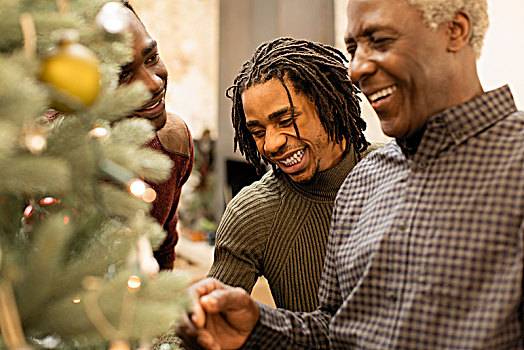 微笑,爷爷,孙子,装饰,圣诞树