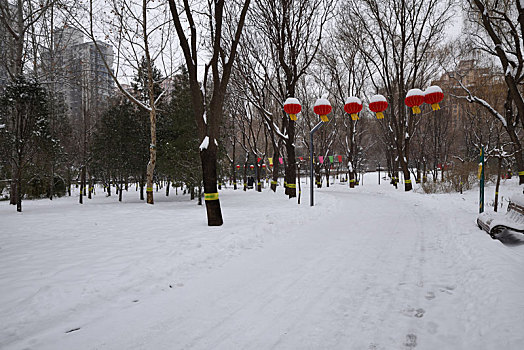 河北省石家庄市公园雪景