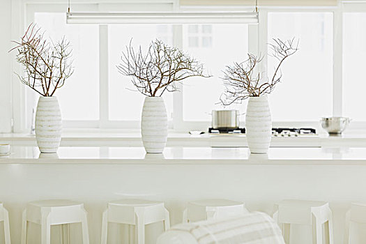 现代,白色,餐桌,花瓶,枝条