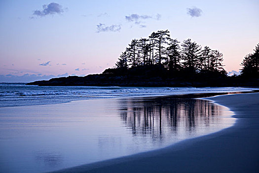 树,反射,海滩,岛屿,靠近,不列颠哥伦比亚省,加拿大,温哥华岛,格里夸湾,联合国教科文组织,生物保护区